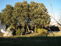 /album/chaletpioz/dscf1074-jpg1/