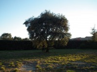 /album/chaletpioz/dscf1155-jpg1/